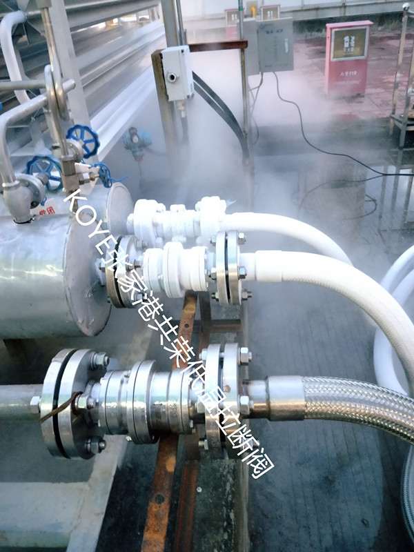 中国燃气拉断阀项目